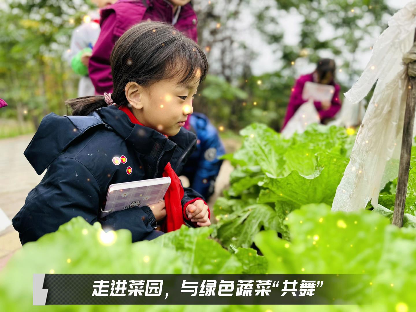 #美好學(xué)校|留校時(shí)光，走出教室，與綠色蔬菜共舞