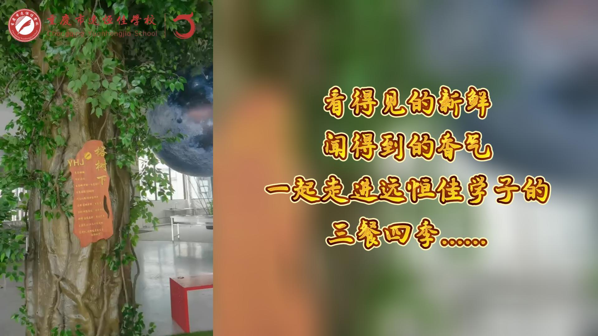 #美好學(xué)校|看得見的新鮮，聞得到的香味，一起走進(jìn)遠(yuǎn)恒佳學(xué)子的三餐四季!